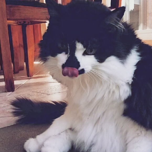 Meet your Posher, Luisa - Picture 5 of 13